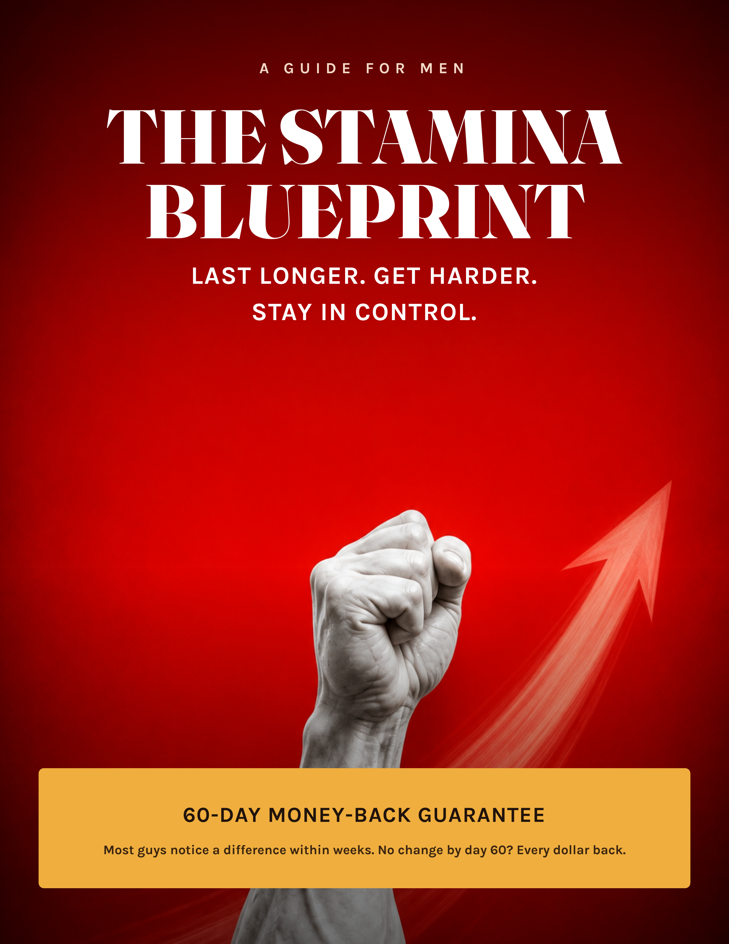 The Stamina Blueprint: A Man's Guide to Lasting Longer, Harder Erections & Total Control